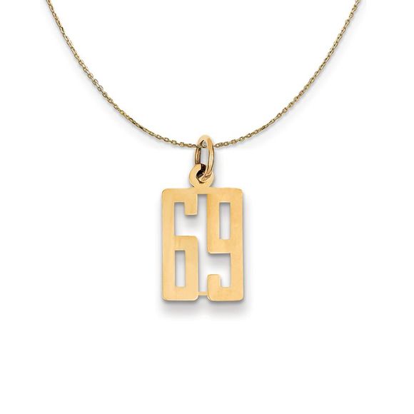 14k Yellow Gold, Alumni Small Elongated Number 69 Necklace - 18 Inch - Picture 1 of 6